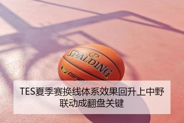 TES夏季赛换线体系效果回升上中野联动成翻盘关键